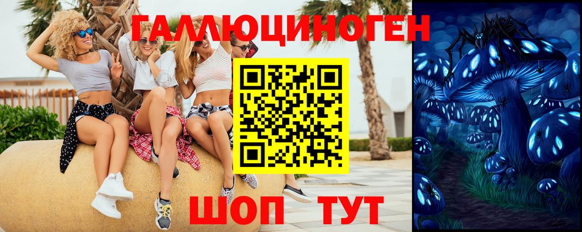 Верхняя Пышма  Псилоцибиновые грибы прущие грибы  Псилоцибиновые грибы прущие грибы  Вход с VPN 