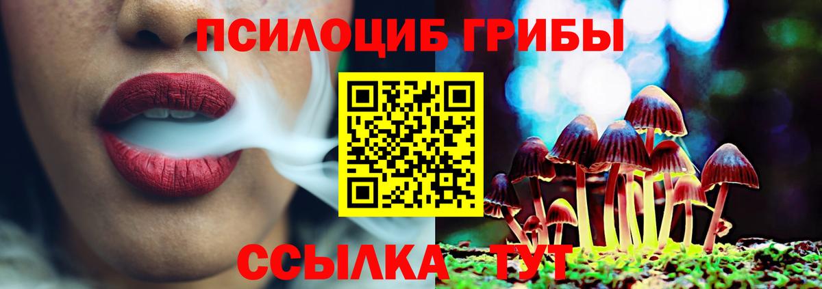 Псилоцибиновые грибы мухоморы Верхняя Пышма